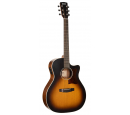 GA1E (Open Pore Sunburst), зображення 1